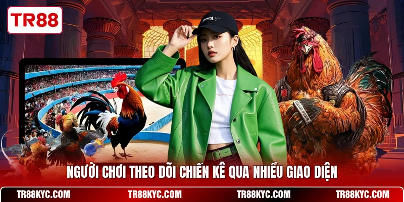 Người chơi theo dõi chiến kê qua nhiều giao diện