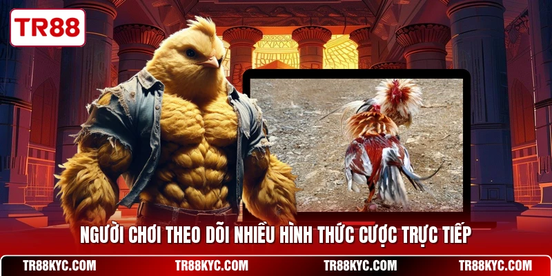 Người chơi theo dõi nhiều hình thức cược trực tiếp
