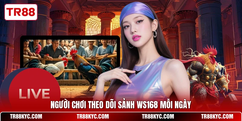 Người chơi theo dõi sảnh WS168 mỗi ngày