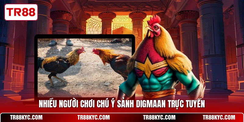 Nhiều người chơi chú ý sảnh Digmaan trực tuyến
