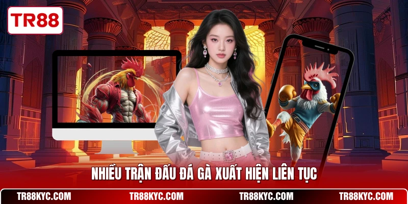 Nhiều trận đấu đá gà xuất hiện liên tục