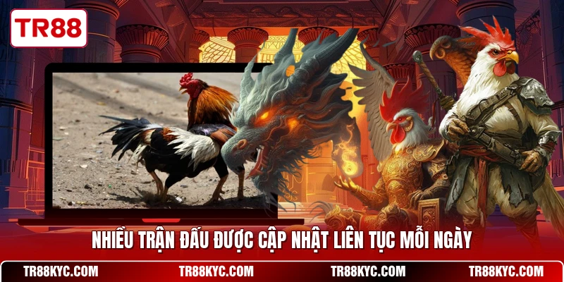Nhiều trận đấu được cập nhật liên tục mỗi ngày