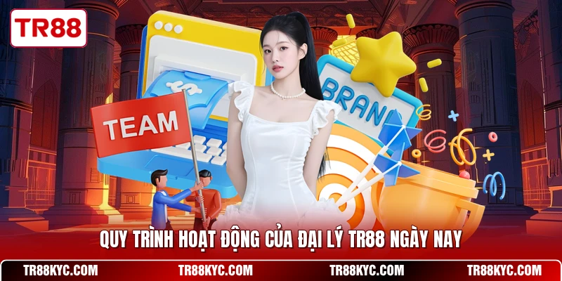 Quy trình hoạt động của đại lý TR88 ngày nay