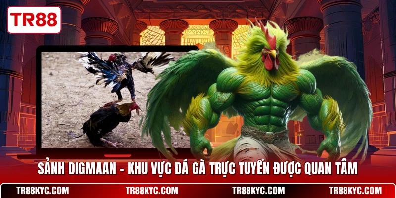 Sảnh Digmaan - Khu Vực Đá Gà Trực Tuyến Được Quan Tâm