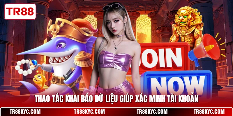 Thao tác khai báo dữ liệu giúp xác minh tài khoản
