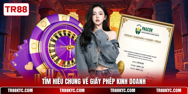 Tìm hiểu chung về giấy phép kinh doanh